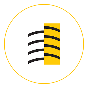 Gumbati Group logo